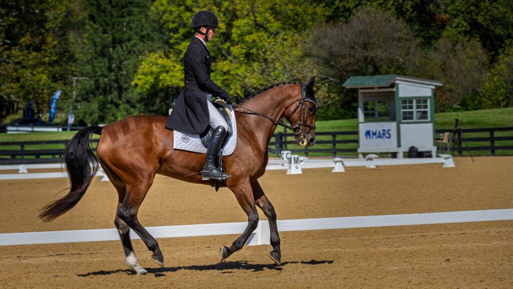 Rider in a black coat, helmet and white breeches on a bay horse inside a sandy dressage arena.