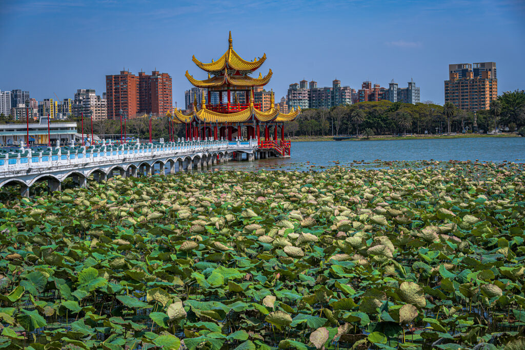 A yellow-roofed pavilion stands beyond lotus leaves on Lotus Pond in Kaohsiung.