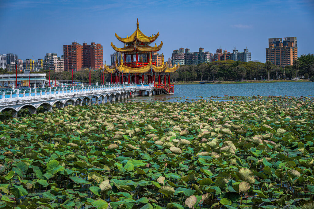 A yellow-roofed pavilion stands beyond lotus leaves on Lotus Pond in Kaohsiung.