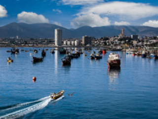 Motorboat trailing a white wake among anchored boats in a harbor believed to be Coquimbo, Chile.