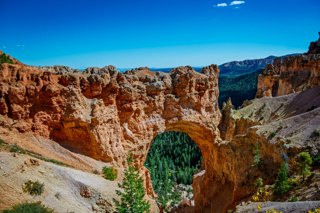 An orange rock arch frames a shadowed, tree-filled opening beneath the rim at Bryce Canyon.