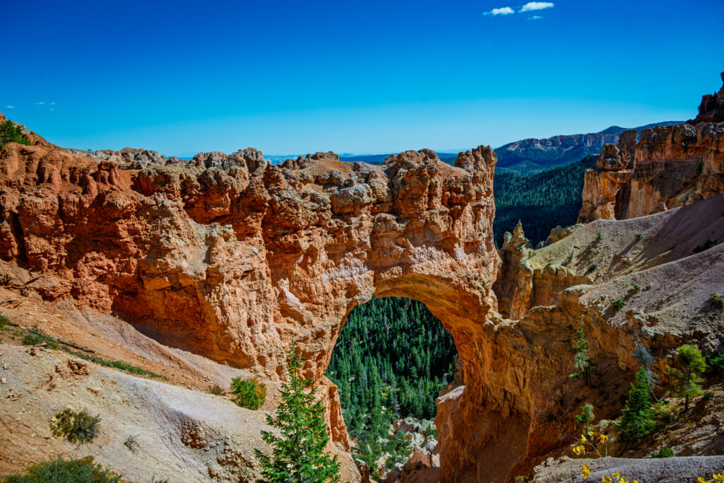 Natural Bridge Arch in Bryce Canyon National Park An orange rock arch frames a shadowed, tree-filled opening beneath the rim at Bryce Canyon.