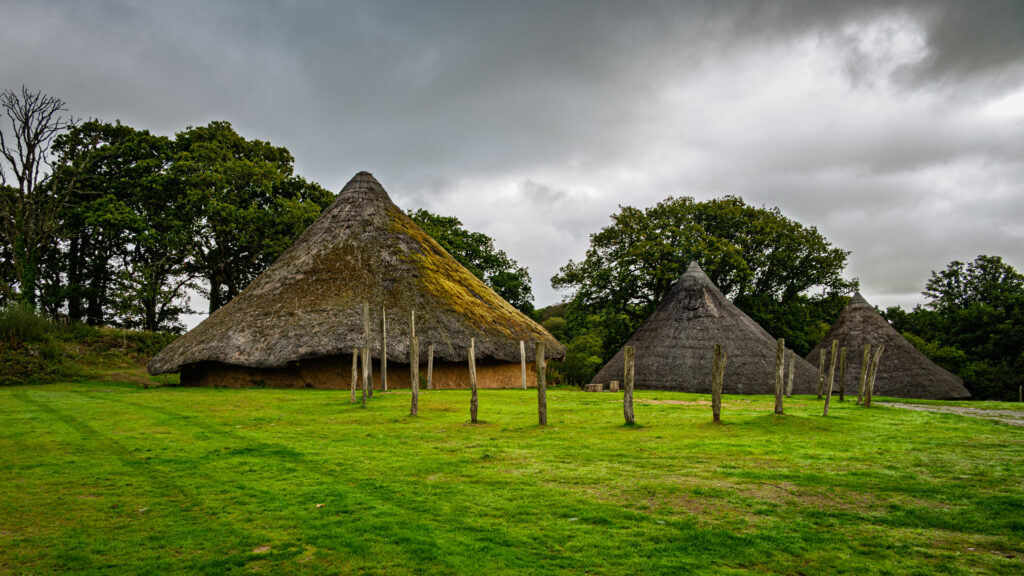Three conical thatched roundhouses stand beyond timber posts on a green lawn at Castell Henllys.