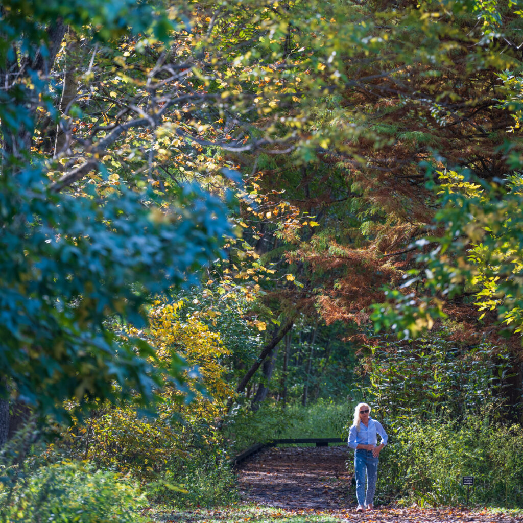 A woman walks on a shaded woodland trail framed by green and yellow autumn leaves in Vienna, Virginia.